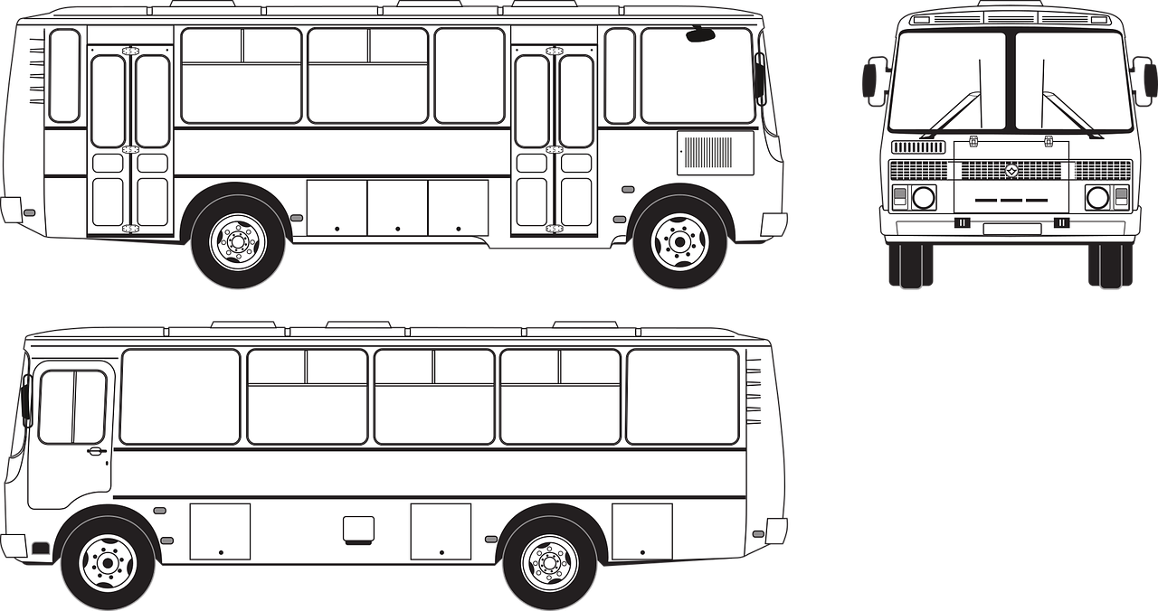 ¿Cuáles son las partes de un bus?