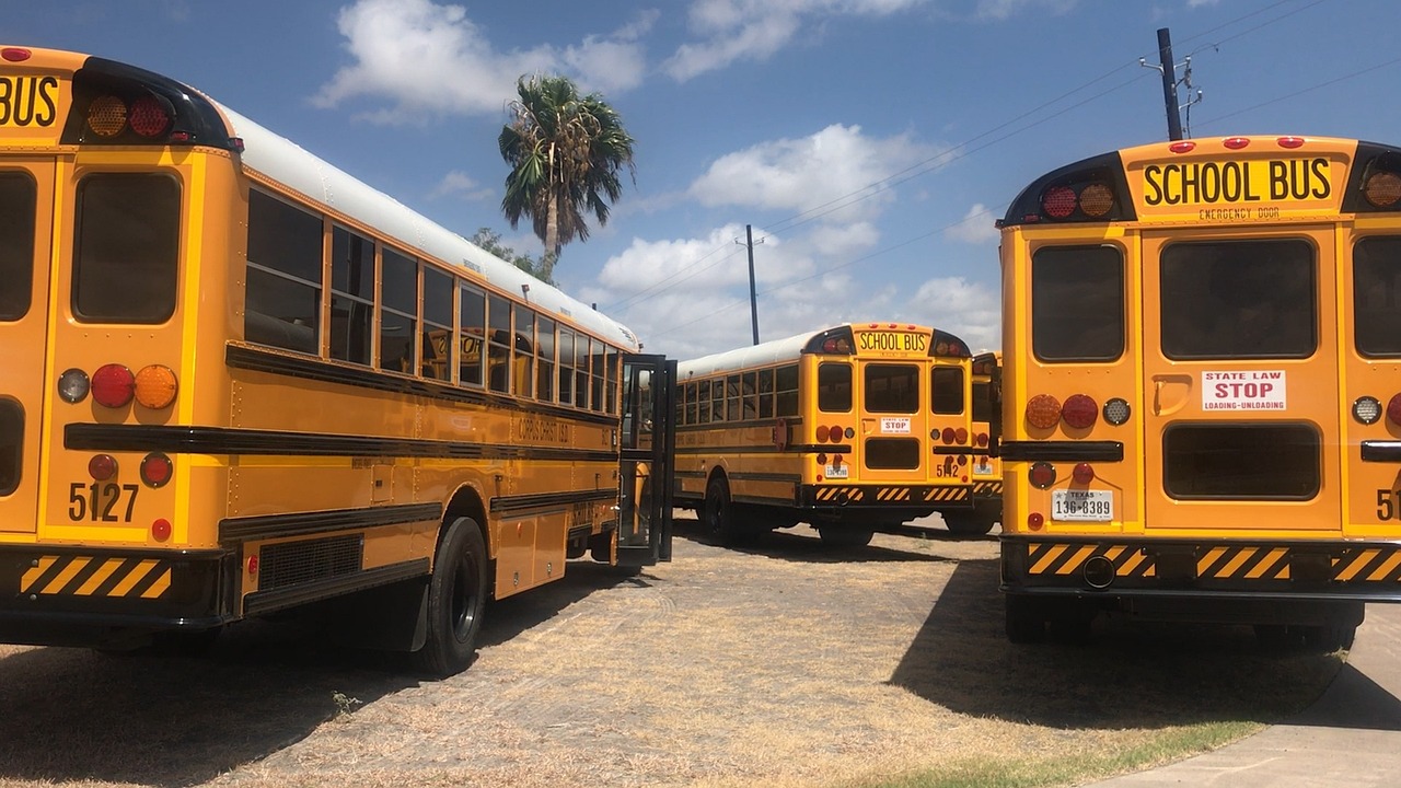 ¿Cuántos años puede tener un autobús escolar?